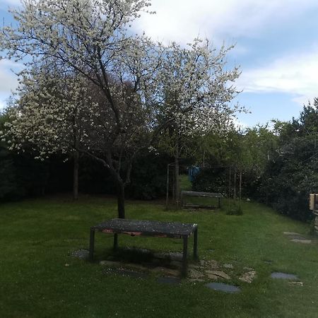 Apartamentos Rurales Alvado Tamajon Kültér fotó